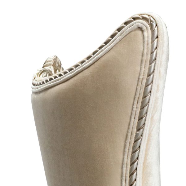 Aida Transitional Lounge Chair Furniture - Image 4