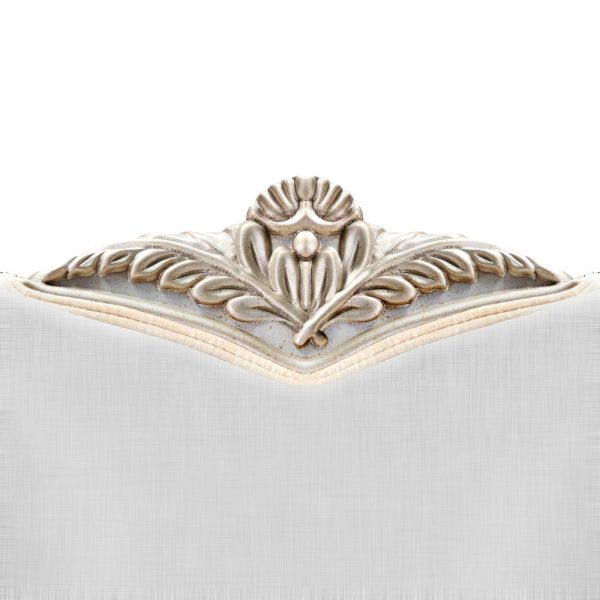 Aida Transitional Lounge Chair Furniture - Image 3