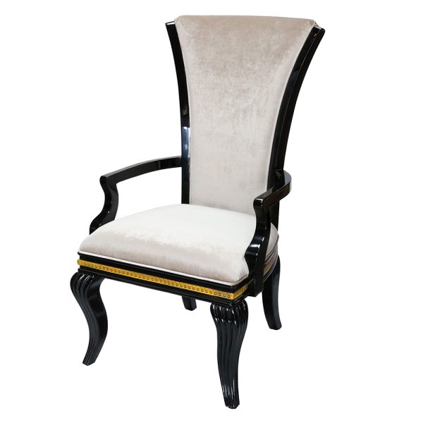 Bio Modern High-Back Armchair - Image 8