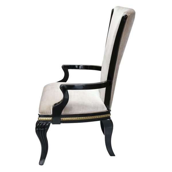 Bio Modern High-Back Armchair - Image 7